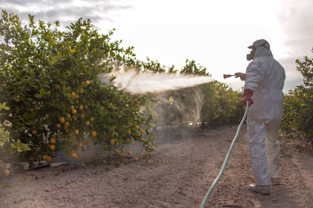 Best Cockroach Control Services  in Gerald, MO