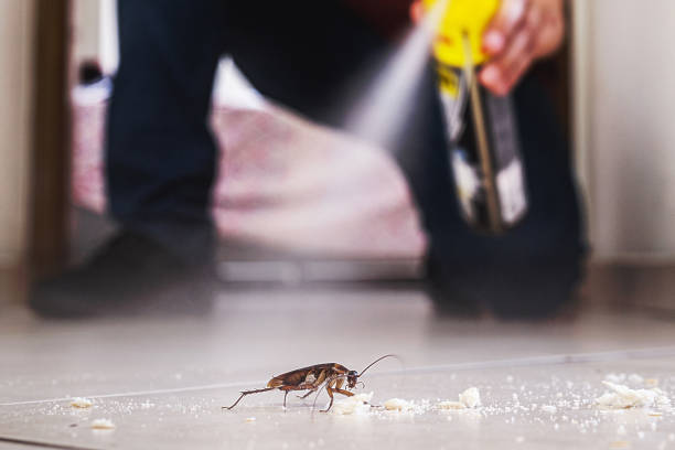 Best Best Pest Control Companies  in Gerald, MO